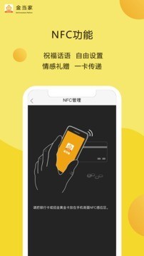 金当家-01