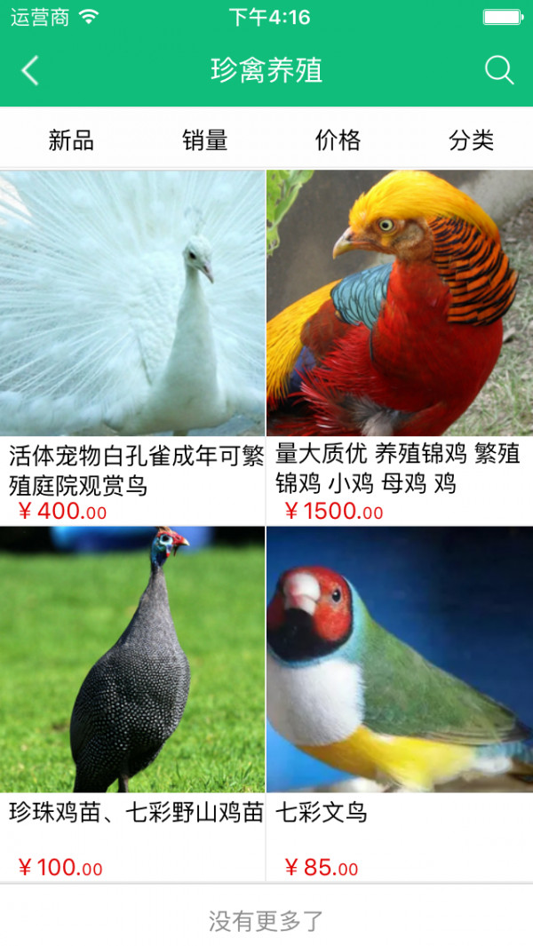 中国家禽养殖网-3
