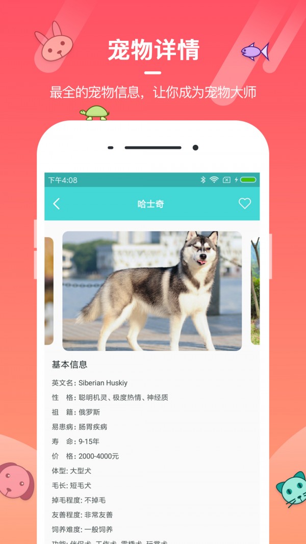 宠物养成大师-01