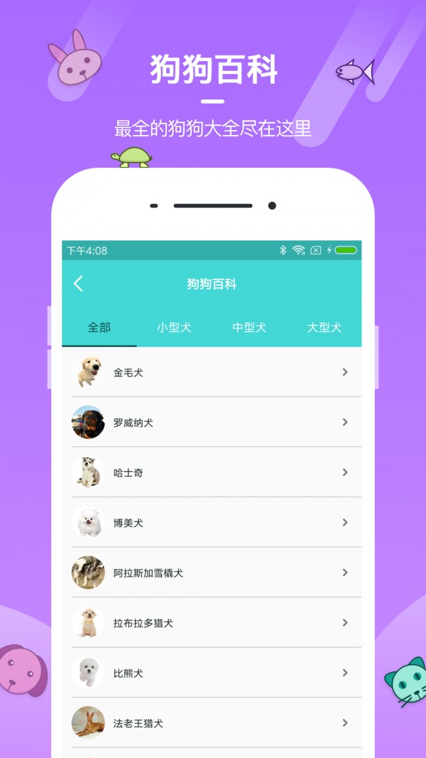 宠物养成大师-01