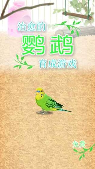 治愈的鹦鹉育成游戏-01
