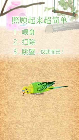 治愈的鹦鹉育成游戏-01