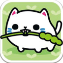 曼切君