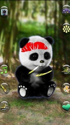 说到熊猫-01