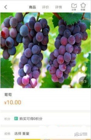 果悦-01