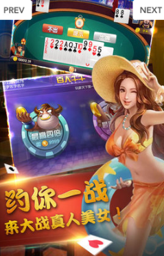 哈局十三张-01