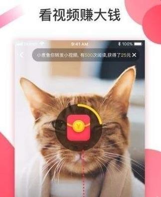 抖淘短视频-0
