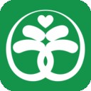 苗木宝