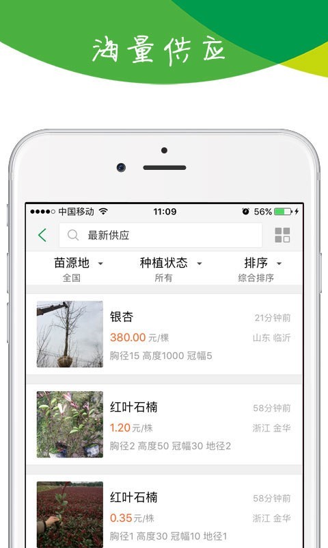 苗木宝-01