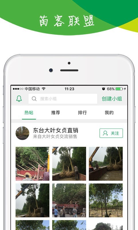 苗木宝-01