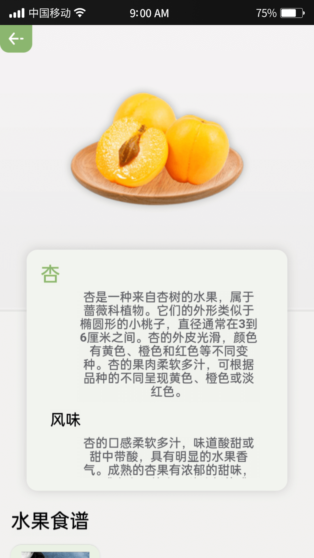 指尖果园-3