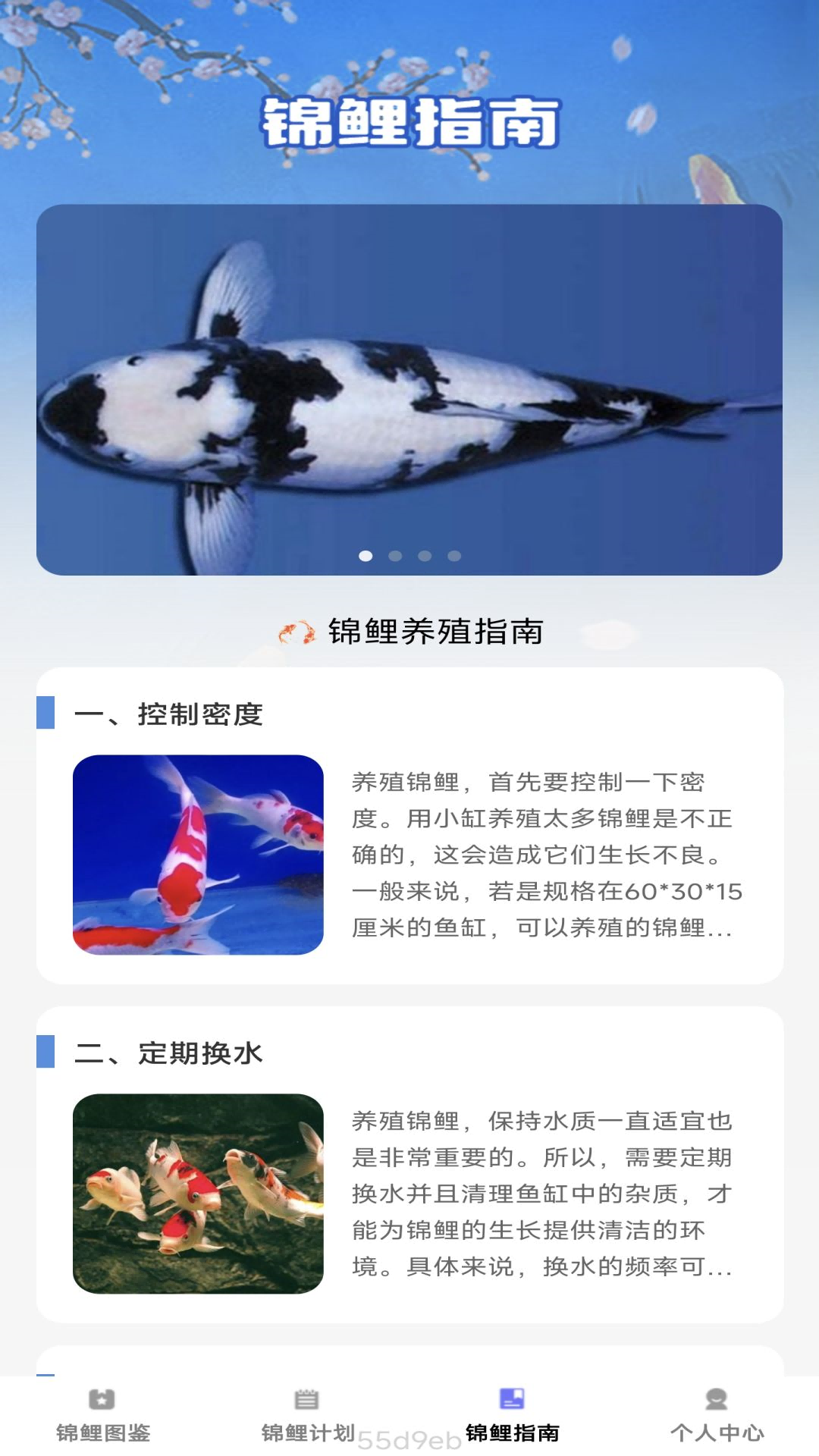锦鲤趣看-01
