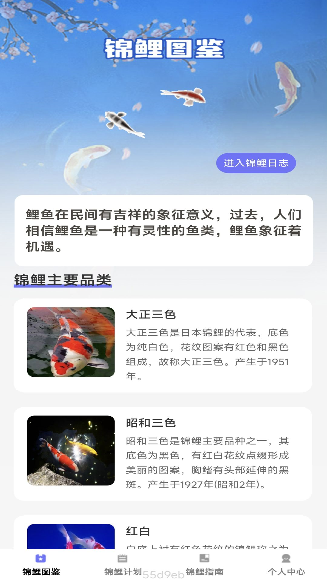 锦鲤趣看-01