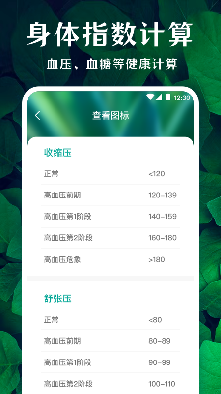薄荷广场舞-01