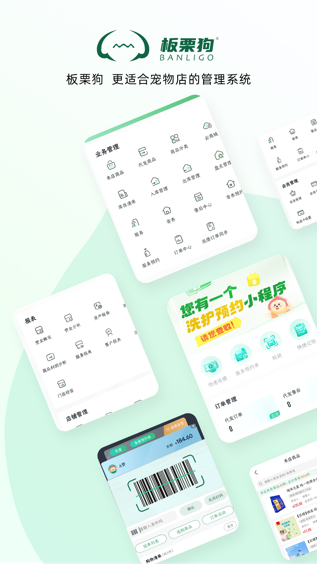 板栗狗-01