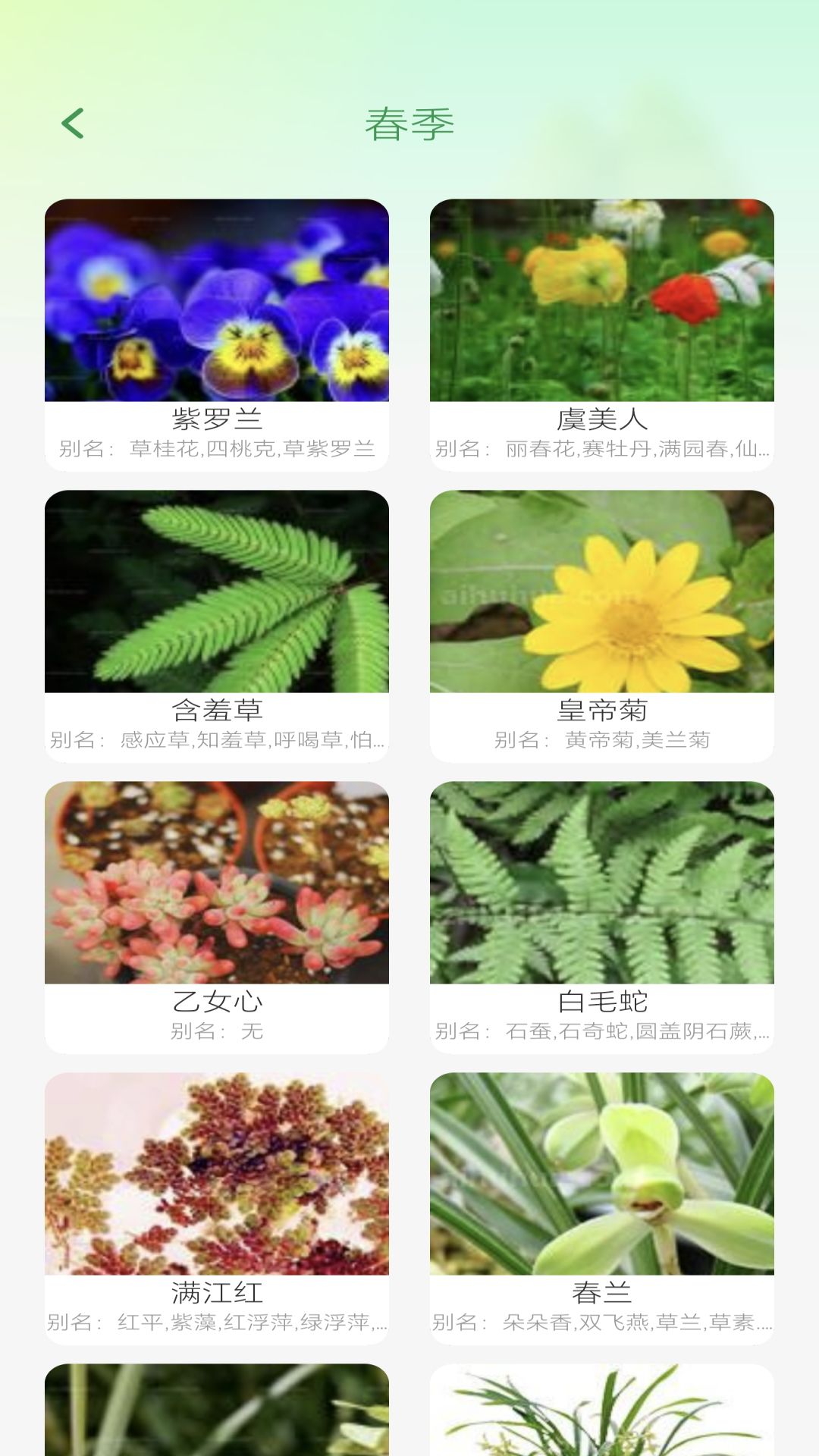 妙看四季-01