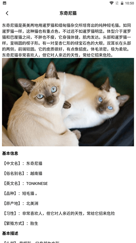 我家猫舍-01