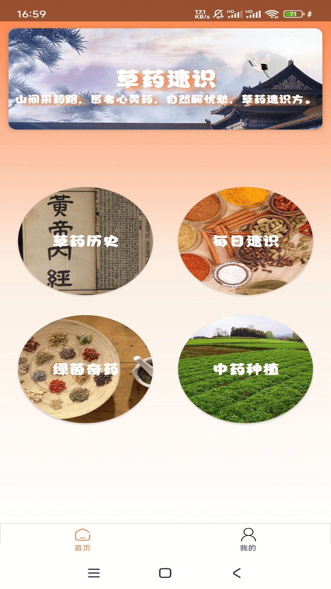 草药速识-01