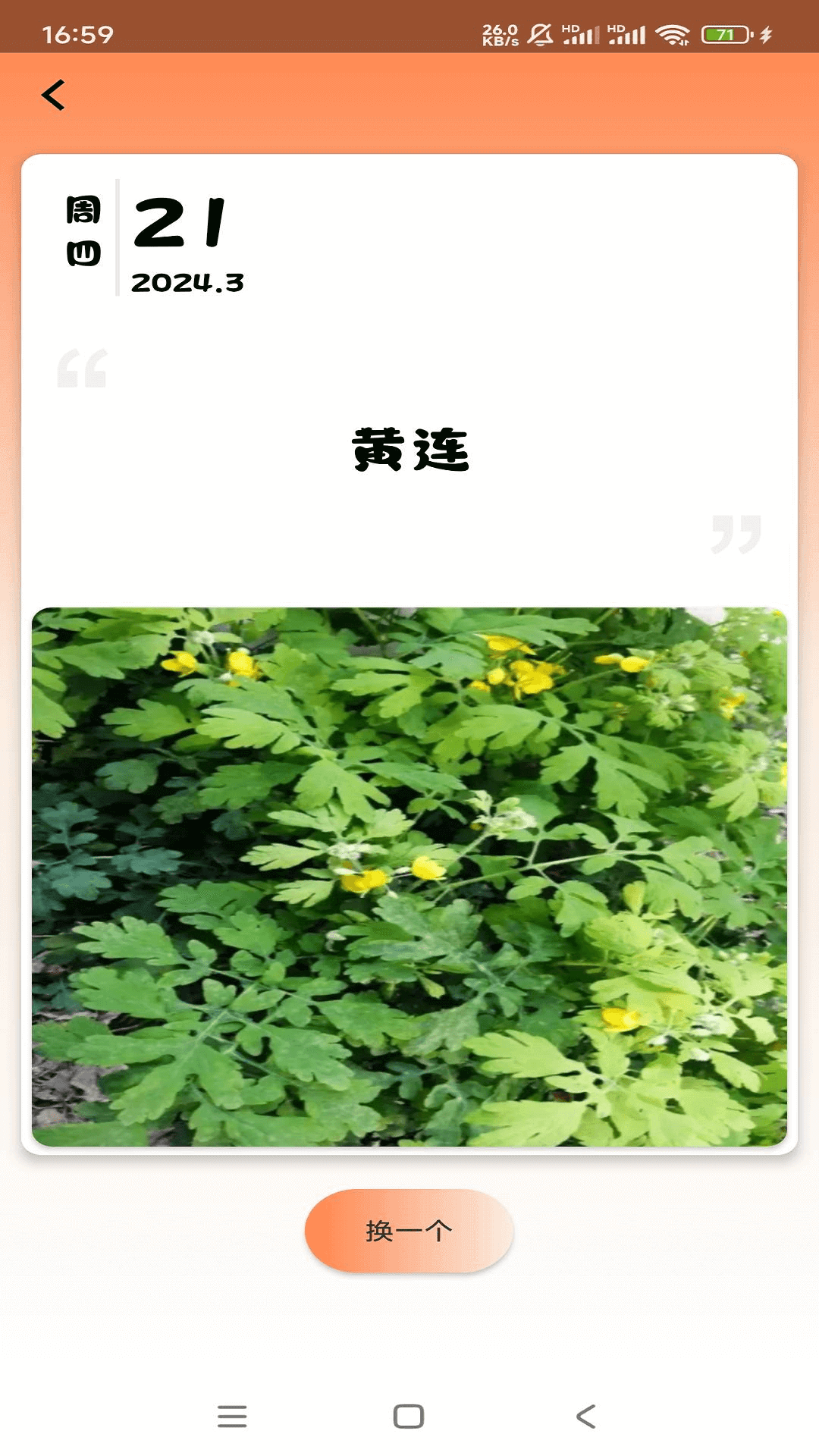草药速识-01