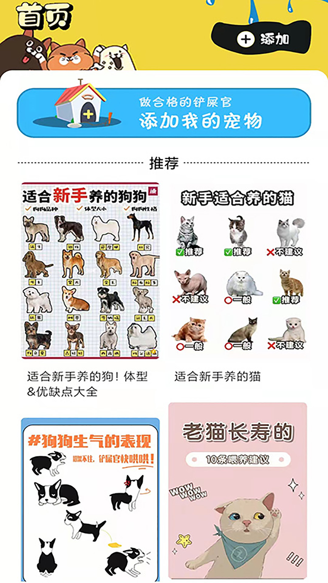 肥猫看看-01