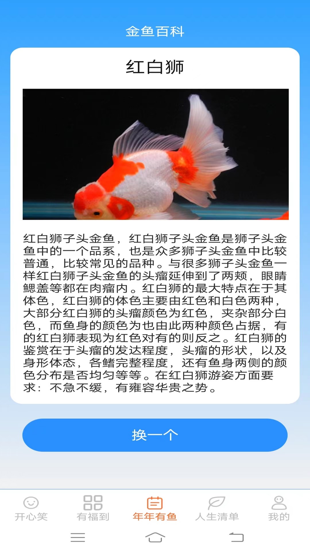 开心有福-01
