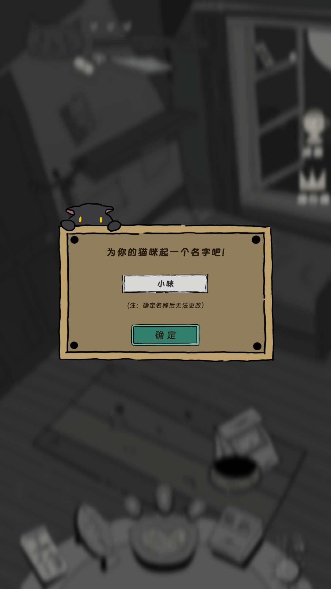 猫猫喵喵-01