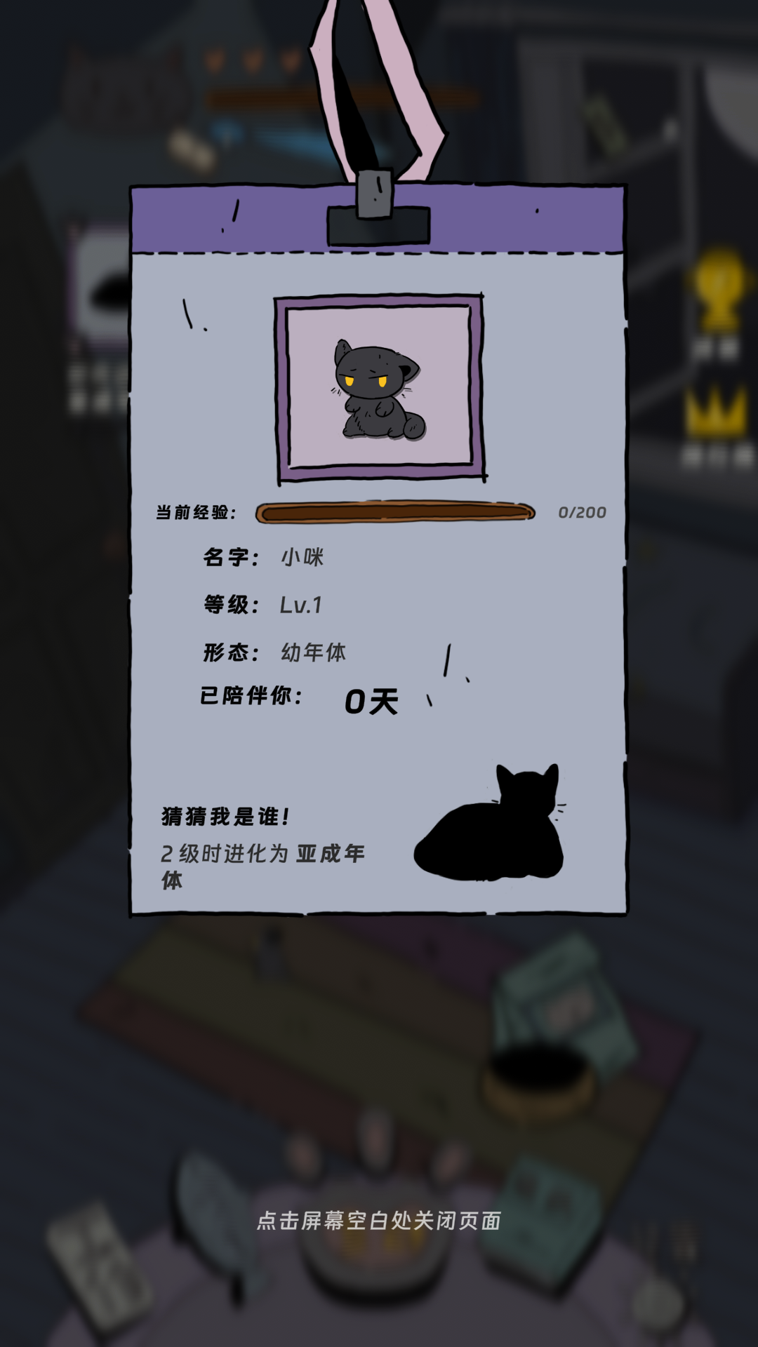 猫猫喵喵-01