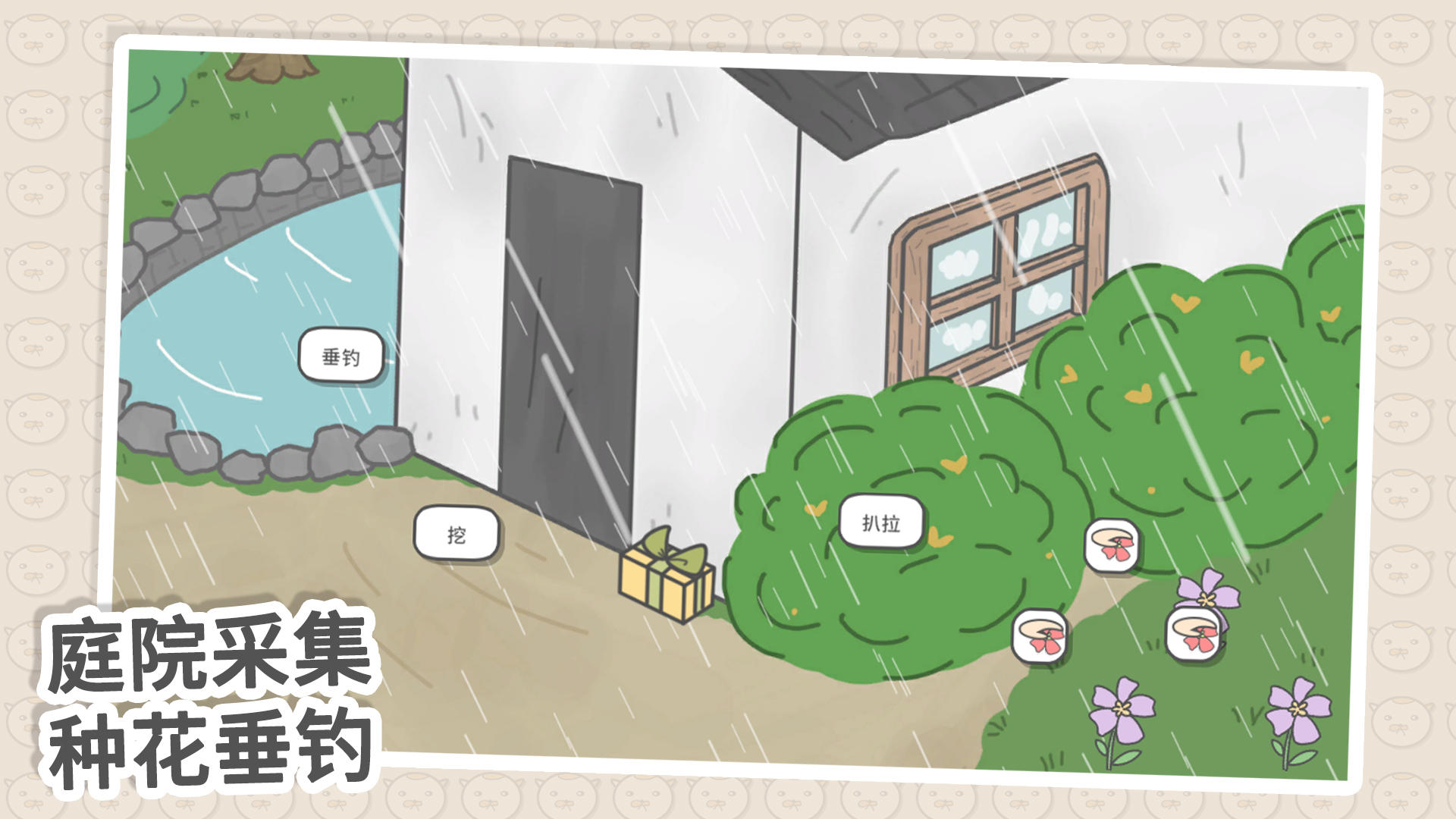 主播和猫的故事-4