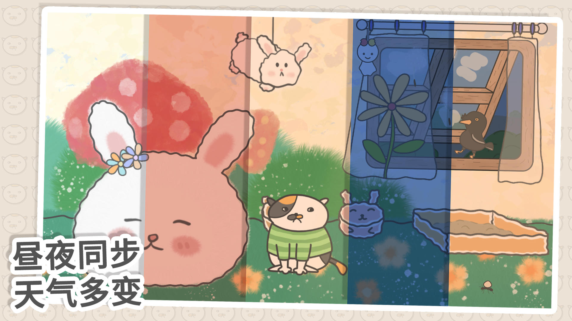 主播和猫的故事-7