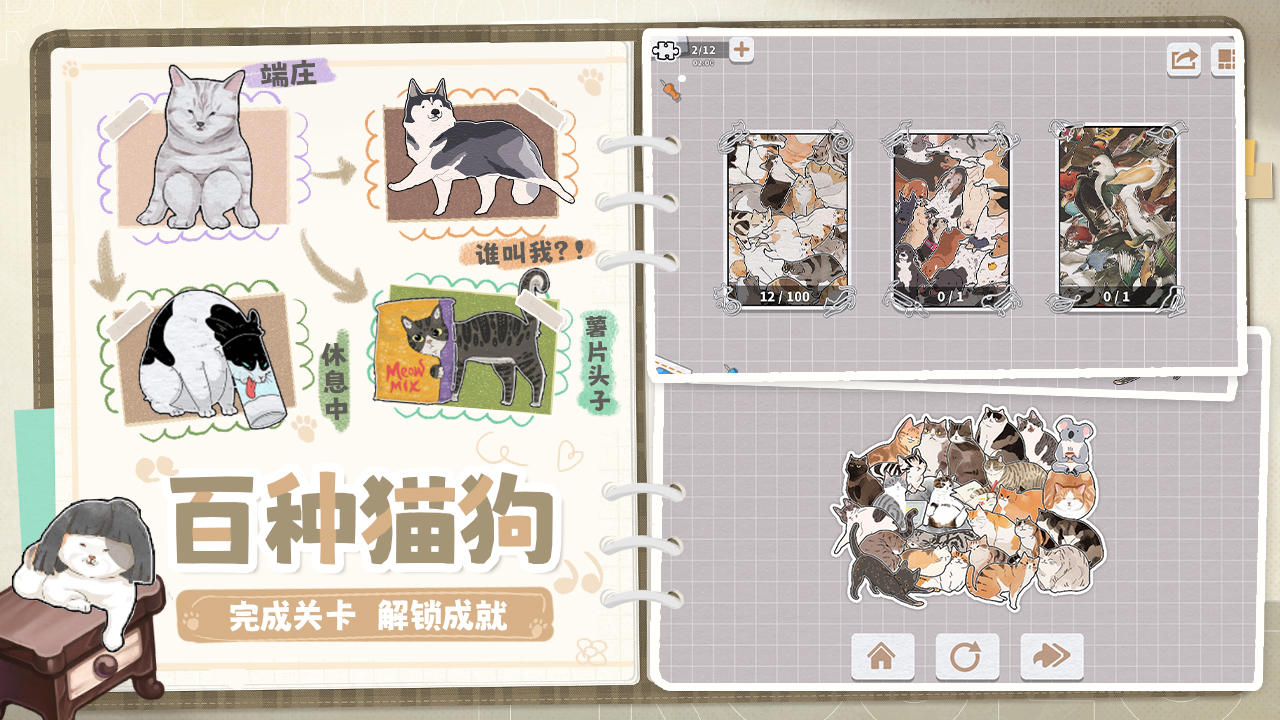 挤在一起的猫猫-01