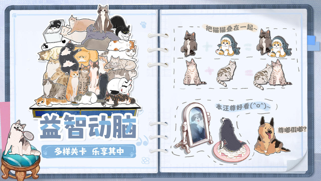 挤在一起的猫猫-01