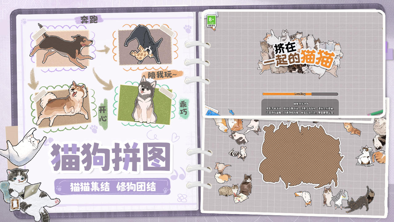 挤在一起的猫猫-01