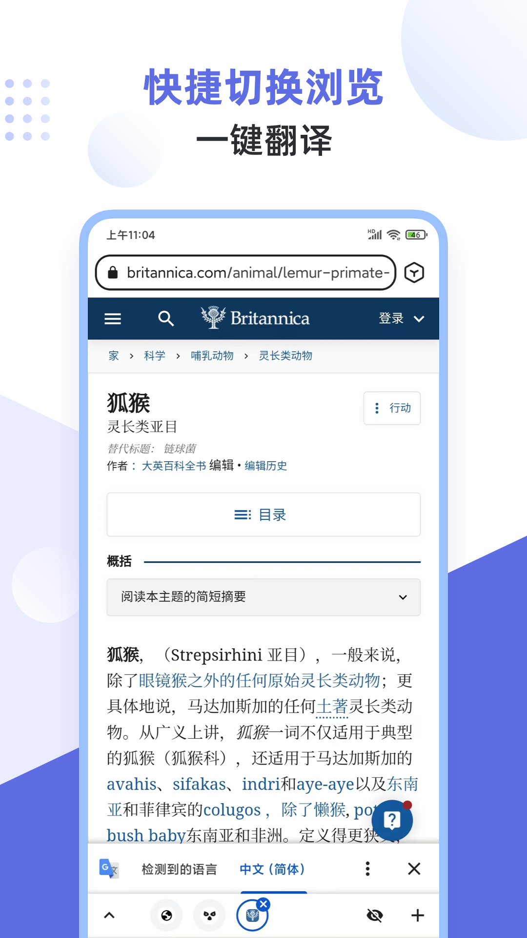 狐猴浏览器-01