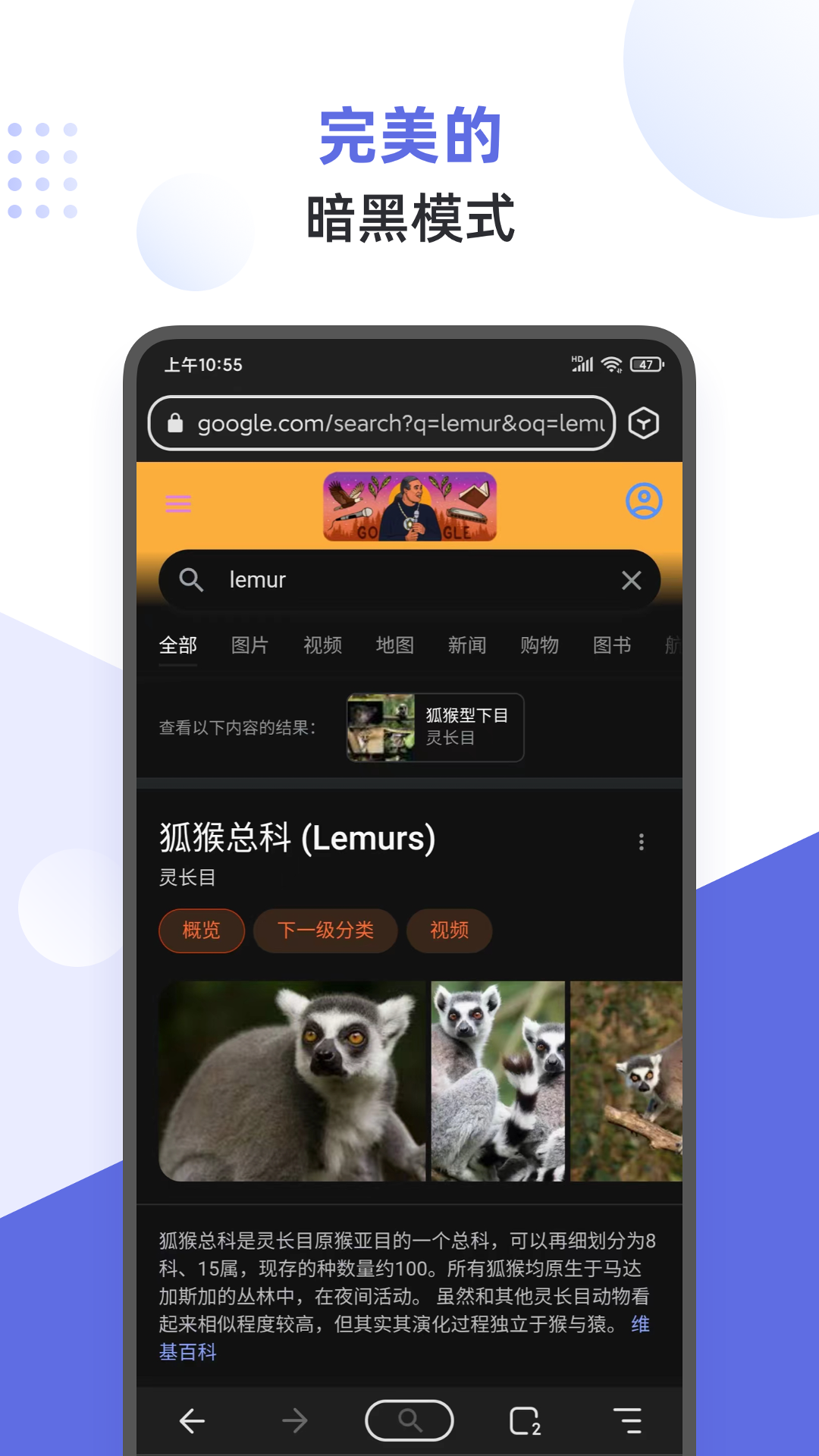 狐猴浏览器-01