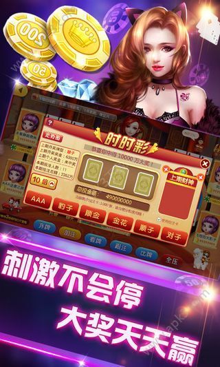 三公炸金花-01