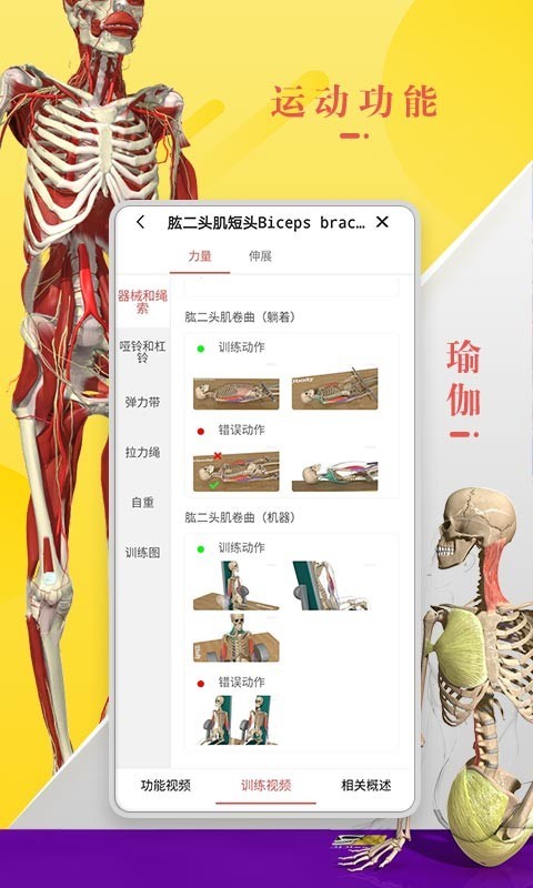 3dbody解剖学-01