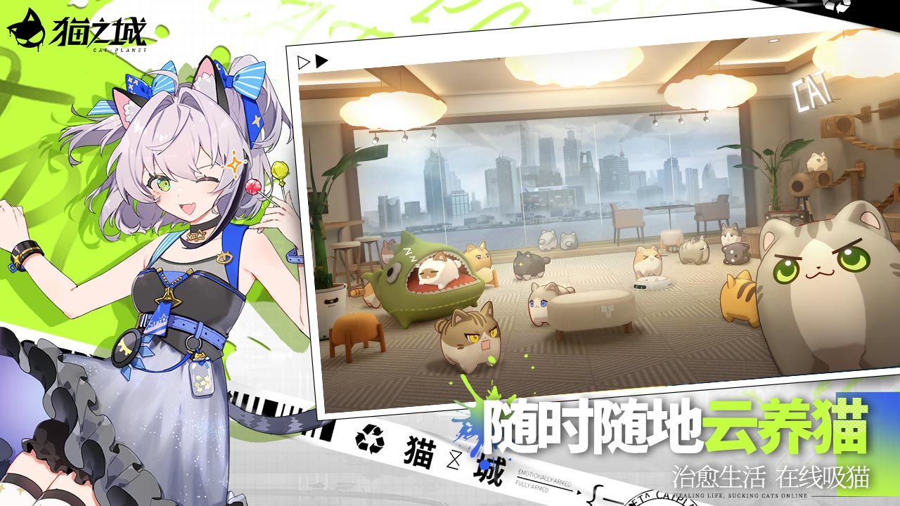 猫之城-2