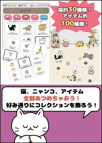 毛团猫太郎-01