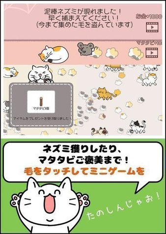 毛团猫太郎-01