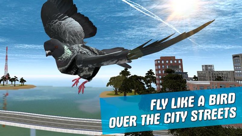 城市之鸽模拟3d-01