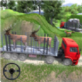 动物运输卡车驾驶