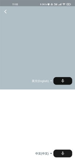 字节引擎翻译-1