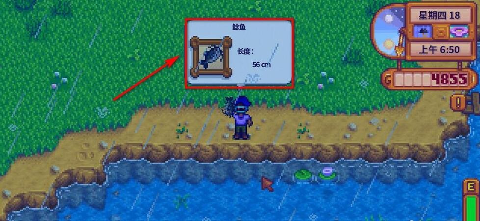 星露谷物语钓鱼有什么技巧