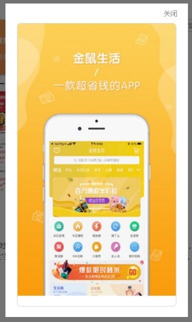 金鼠生活-1