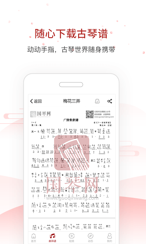 国琴网-2