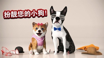 在狗狗小屋里-01