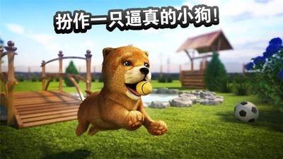 在狗狗小屋里-01