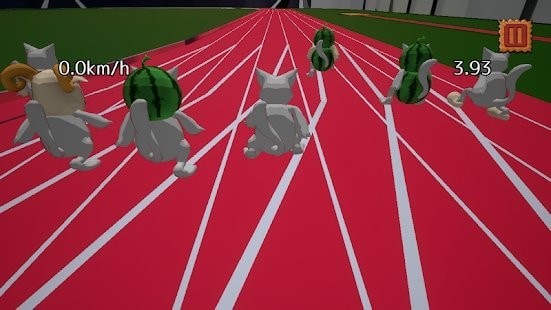 小猫短跑比赛-01