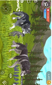 模拟狼生存3d荒野狼求生-0
