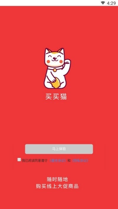 买买猫-01